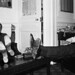 Edward Koch Photo 18