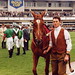 Richard Harvey Photo 21