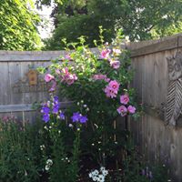 Debra Kroeger Photo 1