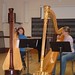 Heather Harp Photo 3
