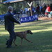 Patricia Petersen Photo 15