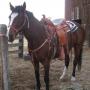 Christy Barnett Photo 28