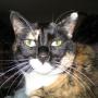 Sherry Riddle Photo 31