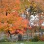 Joyce Peters Photo 44