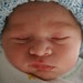 Joshua Snyder Photo 13