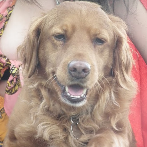 Miranda Dawson Photo 38