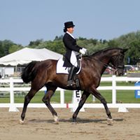 Rachel Webber Photo 10