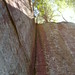 Cliff Carter Photo 10