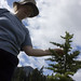 Theresa Forest Photo 1