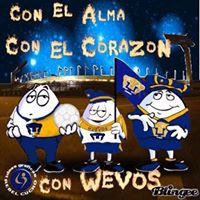 Celso Perez Photo 12