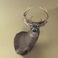 Terry Poole Photo 32