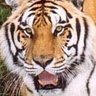 Venkatesh Ramamoorthy Photo 2