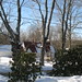 Charlotte Rowe Photo 27