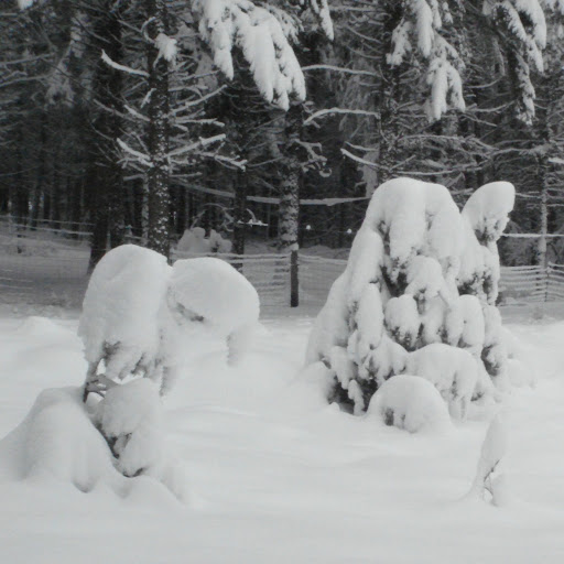 Leann Nelson Photo 35