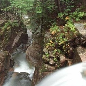 Duane Young Photo 9