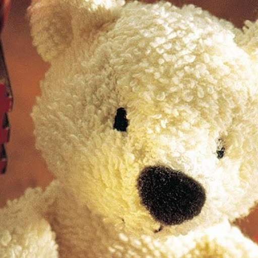 Ted Bear Photo 17