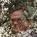Mark Solem Photo 5