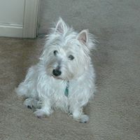 Linda Mcmillen Photo 9
