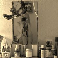 Ann Ostrowski Photo 3