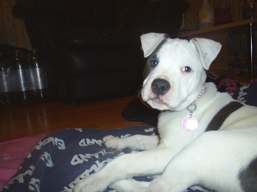 Courtney Atkins Photo 7