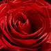 Joy Lill Photo 7