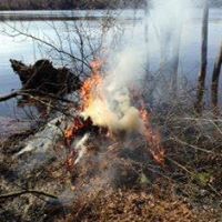 Sharon Huntington Photo 8