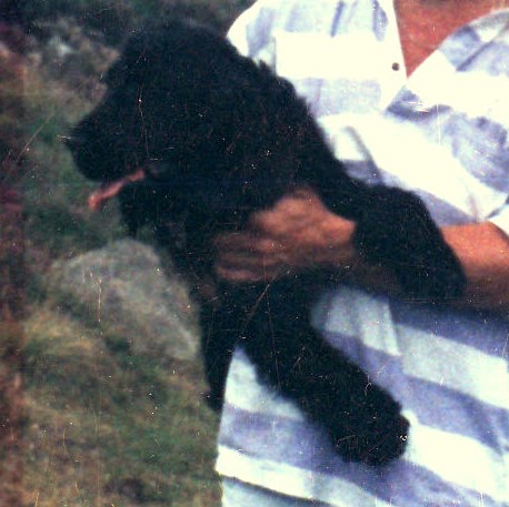 Bernard Reilly Photo 36