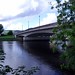Douglas Ness Photo 17