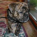Lucy Grillo Photo 8