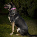 Laura Shepard Photo 17