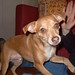 Jill Henry Photo 20