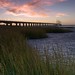 Dawn Cross Photo 22
