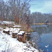 Robert Dowell Photo 11