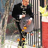 Omar Angulo Photo 19