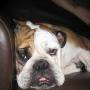 Louis Sanchez Photo 27