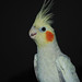 Colby Stevens Photo 28