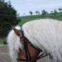Sandra Storm Photo 17