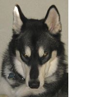 Joe Meeks Photo 14
