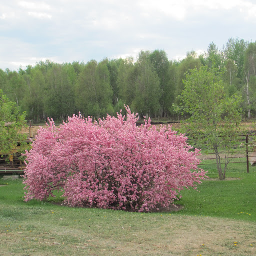 Susan Mccauley Photo 20