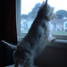 Delilah Winters Photo 12