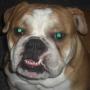 John Bridges Photo 48