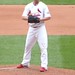 Franklin Cardinal Photo 7