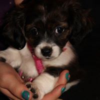 Tabitha Holmes Photo 5