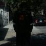 Allen Campbell Photo 28