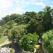 Rosario Verde Photo 2