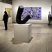 Nicholas Clements Photo 20