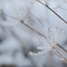 Anne Frost Photo 35