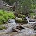 Alberta Rowe Photo 4