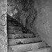 Debra Stone Photo 16