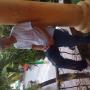 Edgar Pineda Photo 28